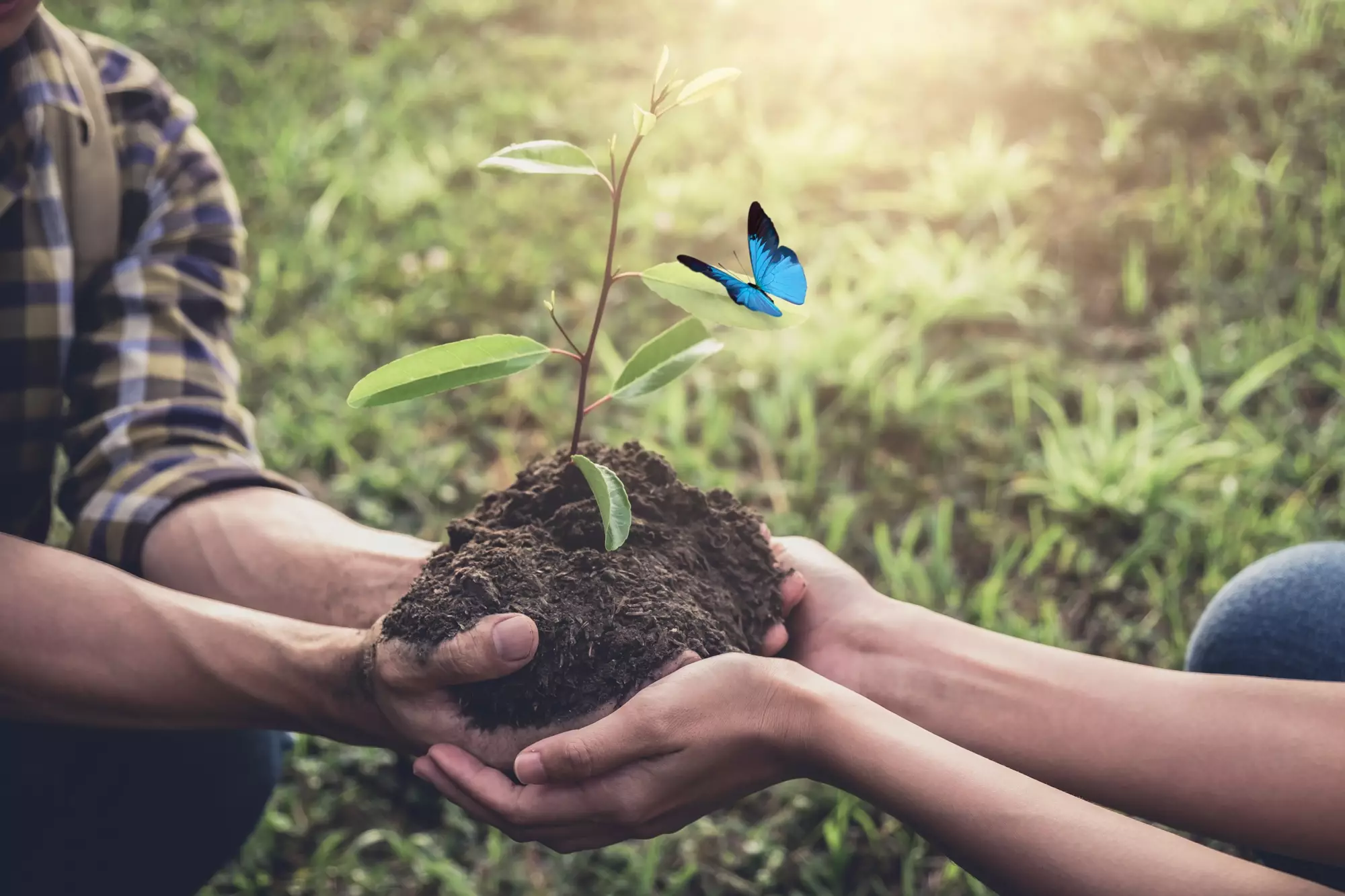 <b>Au-delà du cercueil : une cérémonie pensée pour l’environnement</b>