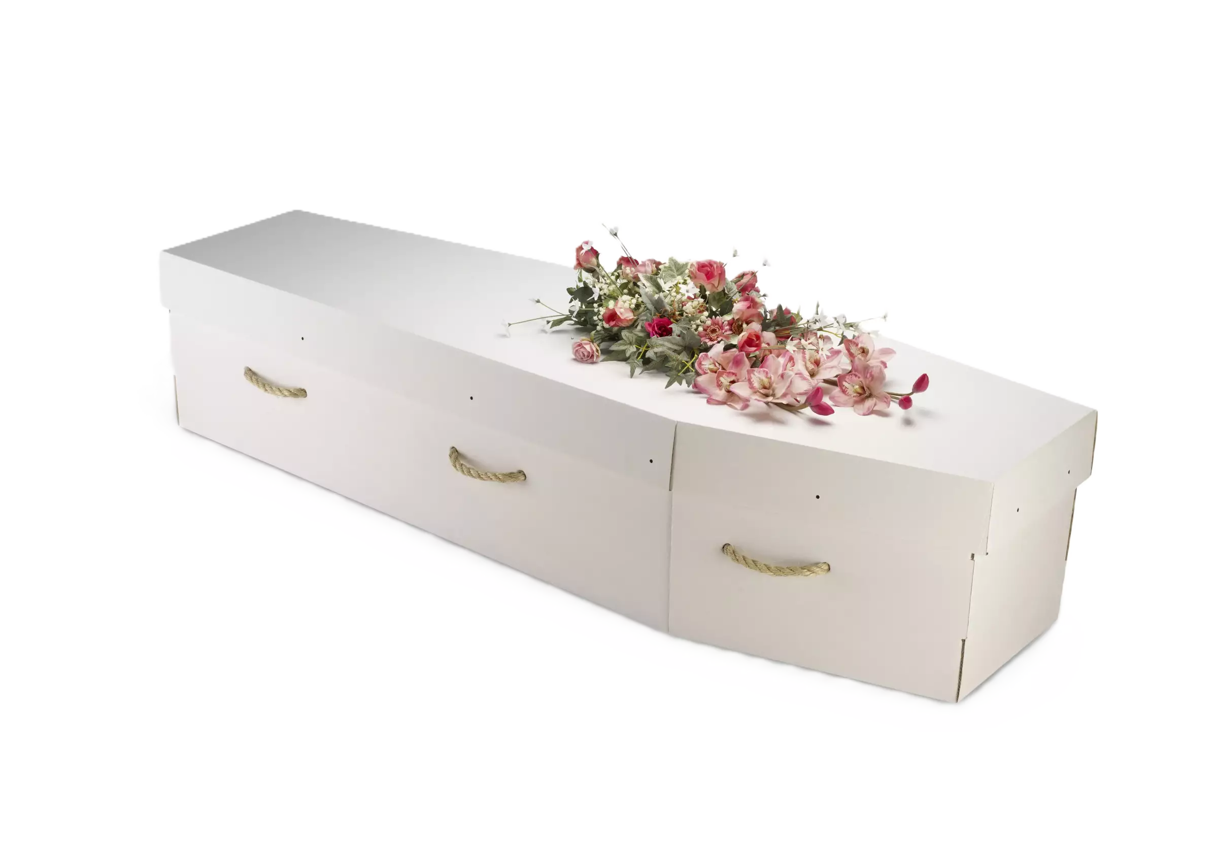 Le cercueil en carton : alternative moderne, écologique et personnalisable